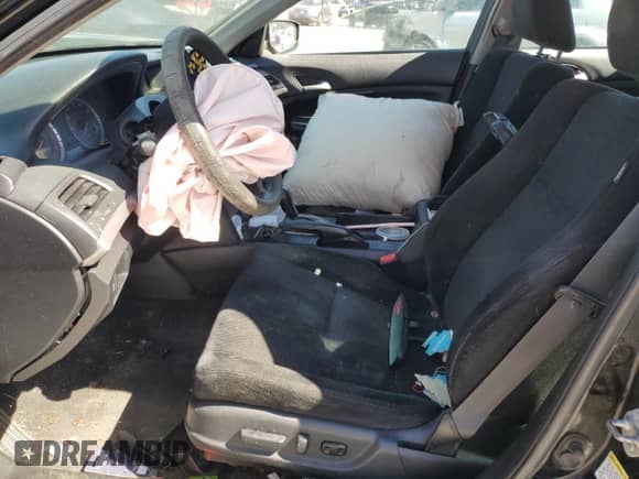 2010 Honda Accord EX with VIN 1HGCP2F75AA021819, listed as a Copart auction lot 81947205 with 266,123 mi miles and Salvage title. Bid and sale history available at DreamBid. Image 7.