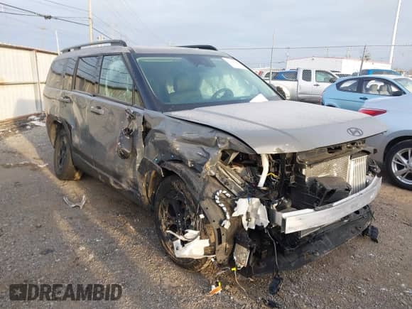 2024 Hyundai Santa Fe XRT с VIN 5NMP3DGL9RH007068, выставлен на аукционе IAAI как лот 41100388 с пробегом 19 957 миль миль и . История ставок и продаж доступна на DreamBid. Изображение 1.