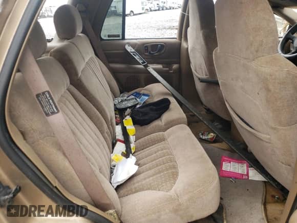 2000 Chevrolet Blazer LS z VIN 1GNCS13W6Y2155253, wystawiony jako Copart lot #55951095 z przebiegiem 243 661 mil mil oraz Szkoda całkowita • Salvage title. Historia ofert i sprzedaży dostępna na DreamBid. Obrazek 11.