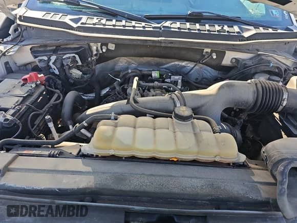 2019 Ford F-150 XL with VIN 1FTEX1EP6KKE99861, listed as a IAAI auction lot 43552263 with 195,197 mi miles and . Bid and sale history available at DreamBid. Image 18.