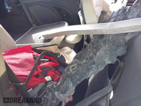 2011 MINI Hardtop with VIN WMWSU3C54BT094209, listed as a IAAI auction lot 43484435 with Not provided miles and . Bid and sale history available at DreamBid. Image 8.