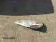 2008 Toyota Sienna XLE z VIN 5TDZK22CX8S205905, wystawiony jako IAAI lot #43381003 z przebiegiem 120 666 mil mil oraz . Historia ofert i sprzedaży dostępna na DreamBid. Obrazek 12.