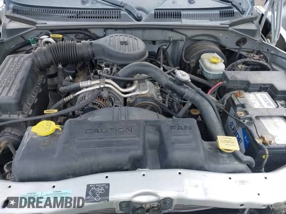 2001 Dodge Dakota with VIN 1B7GL22X91S279384, listed as a IAAI auction lot 42190845 with 150,241 mi miles and . Bid and sale history available at DreamBid. Image 10.