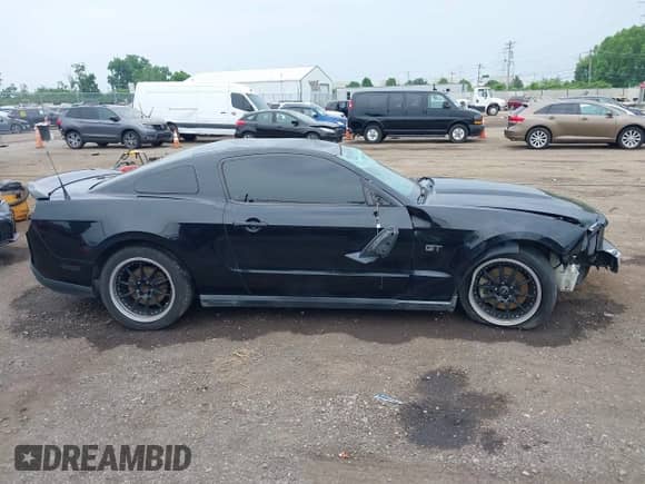 2010 Ford Mustang GT with VIN 1ZVBP8CH9A5117369, listed as a IAAI auction lot 42469176 with 108,248 mi miles and . Bid and sale history available at DreamBid. Image 13.