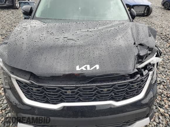 2024 Kia Sorento LX with VIN 5XYRG4JC5RG300899, listed as a Copart auction lot 64647465 with 17,935 mi miles and Salvage title. Bid and sale history available at DreamBid. Image 12.