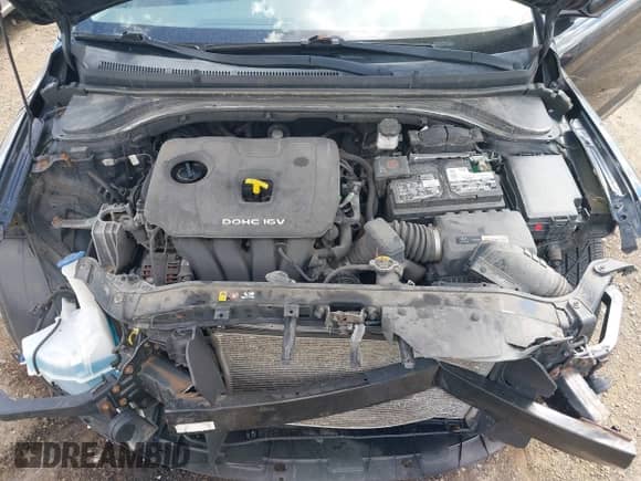 2018 Hyundai Elantra SEL with VIN 5NPD84LFXJH298675, listed as a IAAI auction lot 43064299 with 108,949 mi miles and . Bid and sale history available at DreamBid. Image 10.