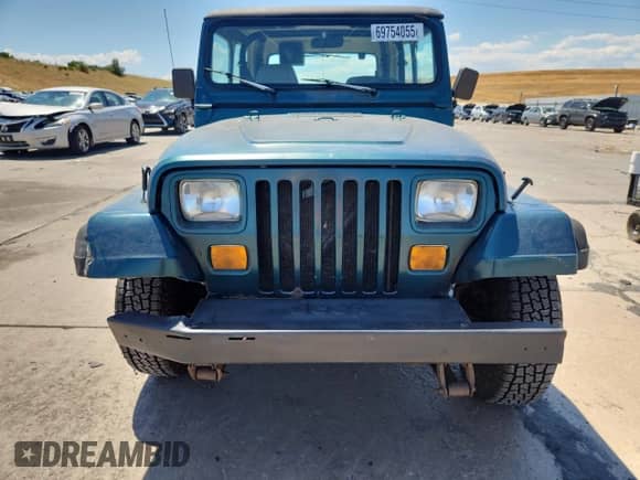 1995 Jeep Wrangler S with VIN 1J4FY19P4SP263783, listed as a Copart auction lot 69754055 with 176,518 mi miles and Salvage title. Bid and sale history available at DreamBid. Image 5.