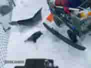 2003 Honda Accord EX z VIN 1HGCM556X3A000230, wystawiony jako IAAI lot #41472952 z przebiegiem 199 500 mil mil oraz . Historia ofert i sprzedaży dostępna na DreamBid. Obrazek 12.