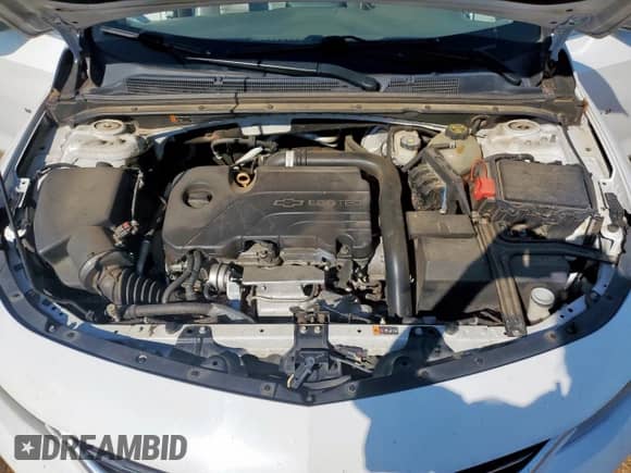 2017 Chevrolet Malibu LT z VIN 1G1ZE5ST8HF112284, wystawiony jako Copart lot #83865565 z przebiegiem 218 409 mil mil oraz Szkoda całkowita • Salvage title. Historia ofert i sprzedaży dostępna na DreamBid. Obrazek 11.