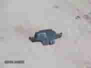 2003 Nissan Frontier XE z VIN 1N6ED27Y33C456883, wystawiony jako IAAI lot #42365584 z przebiegiem 235 954 mil mil oraz . Historia ofert i sprzedaży dostępna na DreamBid. Obrazek 12.