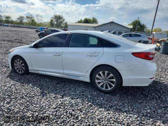 2017 Hyundai Sonata Sport с VIN 5NPE34AF9HH495899, выставлен на аукционе Copart как лот 83841735 с пробегом 94 688 миль миль и Списание • Salvage title. История ставок и продаж доступна на DreamBid. Изображение 2.