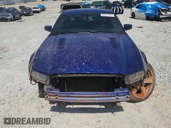 2014 Ford Mustang GT with VIN 1ZVBP8CF2E5258465, listed as a Copart auction lot 80311175 with 157,530 mi miles and Salvage title. Bid and sale history available at DreamBid. Image 13.