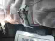 2021 Jeep Compass Limited with VIN 3C4NJDCB7MT546066, listed as a IAAI auction lot 43006523 with 77,114 mi miles and . Bid and sale history available at DreamBid. Image 11.