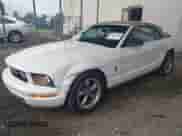 2006 Ford Mustang Standard с VIN 1ZVFT84N665255606, выставлен на аукционе IAAI как лот 42596743 с пробегом 126 759 миль миль и . История ставок и продаж доступна на DreamBid. Изображение 18.