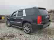 2009 Cadillac Escalade with VIN 1GYFK13289R236406, listed as a Copart auction lot 51920955 with Not provided miles and Salvage title. Bid and sale history available at DreamBid. Image 2.