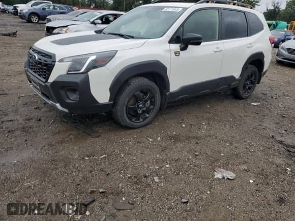 2023 Subaru Forester Wilderness с VIN JF2SKAMC7PH508573, выставлен на аукционе Copart как лот 82171845 с пробегом 17 668 миль миль и Списание • Salvage title. История ставок и продаж доступна на DreamBid. Изображение 1.