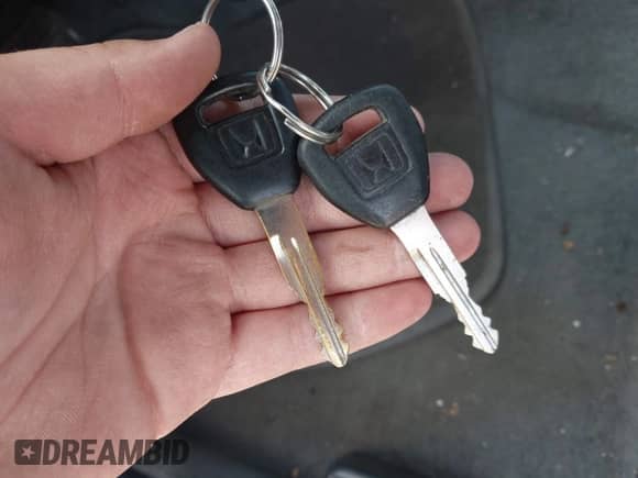 2000 Honda Accord EX with VIN 1HGCG5661YA134847, listed as a IAAI auction lot 41925692 with 188,169 mi miles and . Bid and sale history available at DreamBid. Image 11.