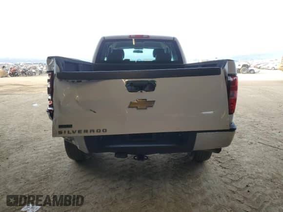 2010 Chevrolet Silverado 1500 Work Truck with VIN 1GCSKPE36AZ232971, listed as a Copart auction lot 42252495 with 175,710 mi miles and Salvage title. Bid and sale history available at DreamBid. Image 6.