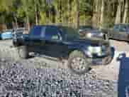 2011 Ford F-150 Lariat with VIN 1FTFW1EF3BFD04225, listed as a Copart auction lot 84556155 with 228,102 mi miles and Salvage title. Bid and sale history available at DreamBid. Image 4.