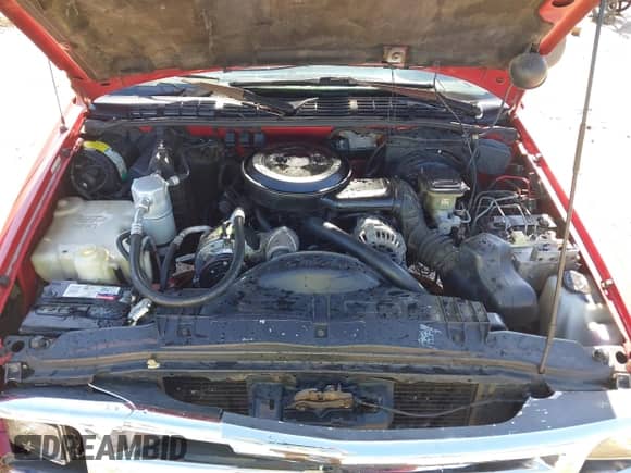 1994 Chevrolet S-10 с VIN 1GCCS14Z7R8204329, выставлен на аукционе IAAI как лот 42290880 с пробегом 241 483 миль миль и . История ставок и продаж доступна на DreamBid. Изображение 20.