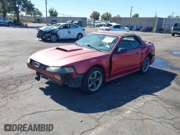 2001 Ford Mustang GT Deluxe with VIN 1FAFP45X41F163192, listed as a IAAI auction lot 43379289 with 125,508 mi miles and . Bid and sale history available at DreamBid. Image 2.