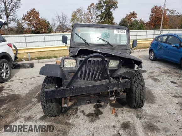 1991 Jeep Wrangler with VIN 2J4FY19P2MJ106558, listed as a Copart auction lot 77743304 with 173,242 mi miles and Salvage title. Bid and sale history available at DreamBid. Image 5.