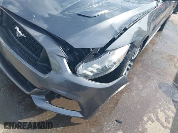 2017 Ford Mustang GT z VIN 1FA6P8CF7H5208224, wystawiony jako IAAI lot #43100029 z przebiegiem 87 720 mil mil oraz . Historia ofert i sprzedaży dostępna na DreamBid. Obrazek 19.