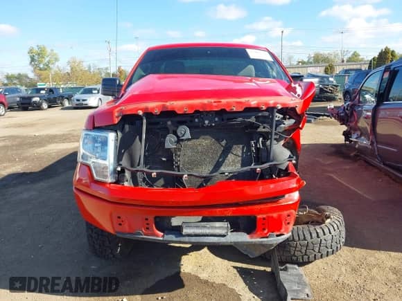 2011 Ford F-150 XL with VIN 1FTMF1CM7BFD25538, listed as a IAAI auction lot 43402736 with 213,719 mi miles and . Bid and sale history available at DreamBid. Image 13.