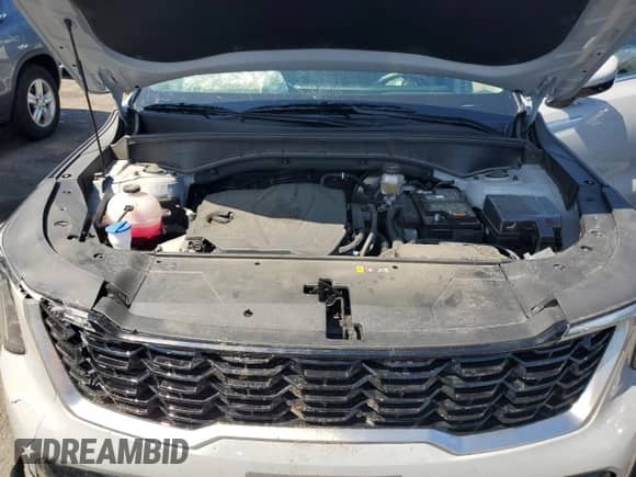 2024 Kia Sorento S with VIN 5XYRLDJCXRG281147, listed as a Copart auction lot 65169875 with Not provided miles and Salvage title. Bid and sale history available at DreamBid. Image 12.