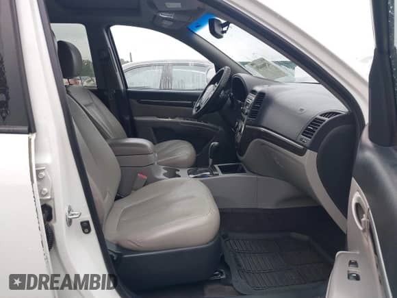 2008 Hyundai Santa Fe SE с VIN 5NMSH13E58H185852, выставлен на аукционе IAAI как лот 42904491 с пробегом 239 192 миль миль и . История ставок и продаж доступна на DreamBid. Изображение 5.
