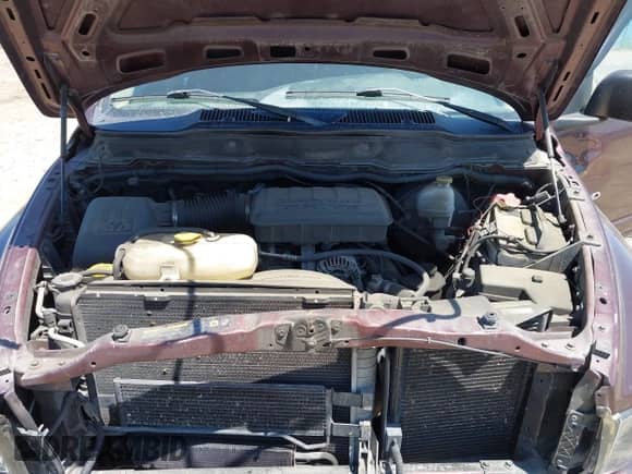 2004 Dodge 1500 SLT with VIN 1D7HU18N44J121357, listed as a IAAI auction lot 42635152 with Not provided miles and . Bid and sale history available at DreamBid. Image 10.