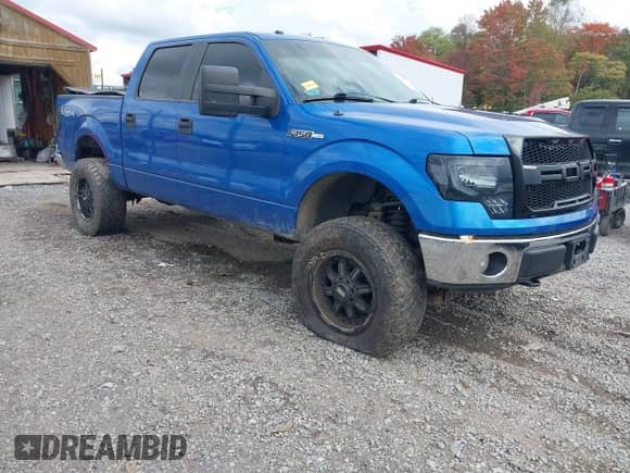 2010 Ford F-150 XL z VIN 1FTEW1E81AFC96122, wystawiony jako IAAI lot #43256912 z przebiegiem 100 585 mil mil oraz . Historia ofert i sprzedaży dostępna na DreamBid. Obrazek 1.