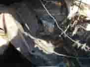 2018 Chevrolet Malibu Hybrid с VIN 1G1ZF5SU6JF253057, выставлен на аукционе Copart как лот 84294185 с пробегом Не указан миль и Списание • Salvage title. История ставок и продаж доступна на DreamBid. Изображение 10.