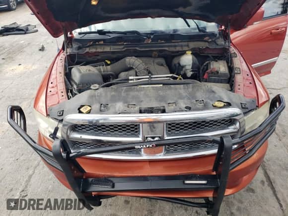 2009 Dodge 1500 SLT with VIN 1D3HV13T09S781739, listed as a Copart auction lot 85117765 with 307,111 mi miles and Salvage title. Bid and sale history available at DreamBid. Image 11.