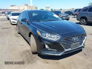 2019 Hyundai Sonata SE with VIN 5NPE24AF3KH799238, listed as a IAAI auction lot 43059027 with 76,118 mi miles and . Bid and sale history available at DreamBid. Image 1.