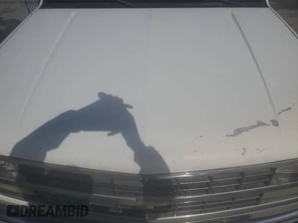 1989 Chevrolet Silverado 2500 z VIN 1GCGC24K2KE265182, wystawiony jako Copart lot #43181655 z przebiegiem 224 959 mil mil oraz Szkoda całkowita • Salvage title. Historia ofert i sprzedaży dostępna na DreamBid. Obrazek 11.