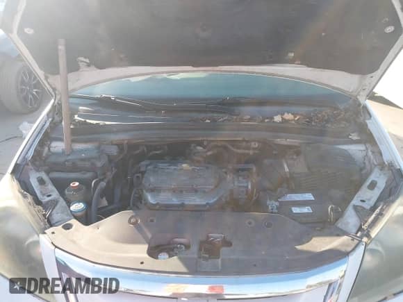 2008 Honda Odyssey EX-L with VIN 5FNRL38668B402725, listed as a IAAI auction lot 43340046 with 222,367 mi miles and . Bid and sale history available at DreamBid. Image 10.