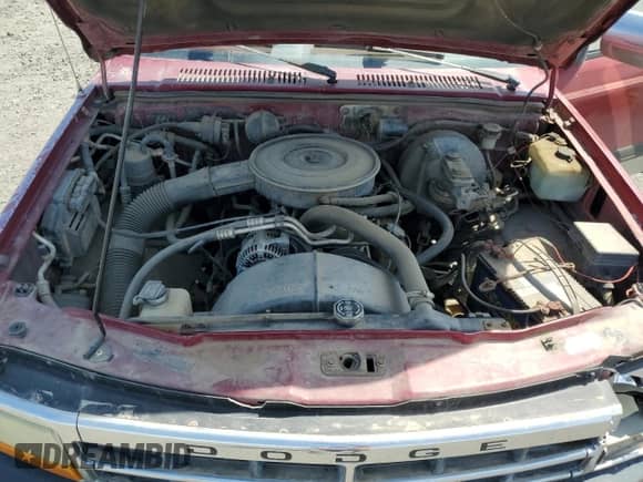 1994 Dodge Dakota z VIN 1B7GL23X6RS602283, wystawiony jako Copart lot #58747055 z przebiegiem 214 194 mil mil oraz Szkoda całkowita • Salvage title. Historia ofert i sprzedaży dostępna na DreamBid. Obrazek 11.