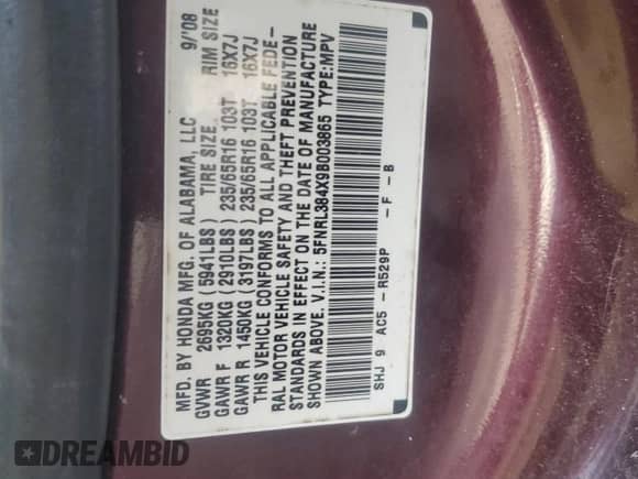 2009 Honda Odyssey EX with VIN 5FNRL384X9B003865, listed as a Copart auction lot 84802435 with 215,409 mi miles and Clean title. Bid and sale history available at DreamBid. Image 13.