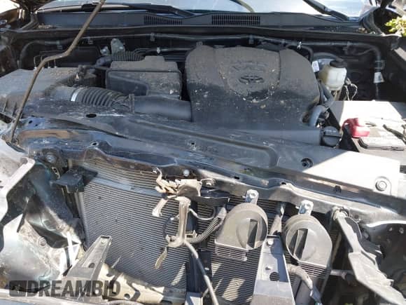 2021 Toyota Tacoma SR5 z VIN 3TYDZ5BN1MT002778, wystawiony jako IAAI lot #42591088 z przebiegiem Nie podano mil oraz . Historia ofert i sprzedaży dostępna na DreamBid. Obrazek 10.