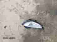 2014 Hyundai Elantra with VIN KMHDH6AH3EU026718, listed as a IAAI auction lot 41721610 with 109,338 mi miles and . Bid and sale history available at DreamBid. Image 12.