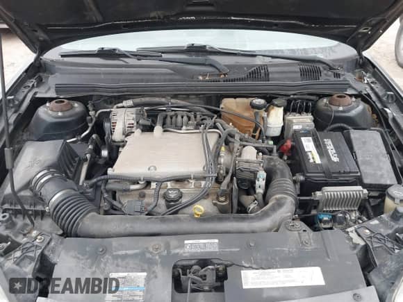 2004 Chevrolet Malibu Maxx LT с VIN 1G1ZU64874F157230, выставлен на аукционе IAAI как лот 41512800 с пробегом 207 609 миль миль и . История ставок и продаж доступна на DreamBid. Изображение 10.