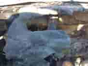 1990 Chevrolet Silverado 1500 с VIN 1GCDC14K8LZ199941, выставлен на аукционе IAAI как лот 43200930 с пробегом Не указан миль и . История ставок и продаж доступна на DreamBid. Изображение 7.