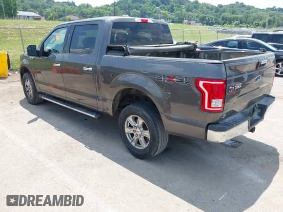 2017 Ford F-150 XL z VIN 1FTEW1EF4HKC72574, wystawiony jako IAAI lot #42578916 z przebiegiem 146 022 mil mil oraz . Historia ofert i sprzedaży dostępna na DreamBid. Obrazek 3.