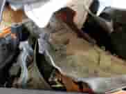 2019 Ram 1500 Express z VIN 1C6RR6KT2KS622721, wystawiony jako Copart lot #53544295 z przebiegiem 96 710 mil mil oraz Nie do naprawy • Non repairable. Historia ofert i sprzedaży dostępna na DreamBid. Obrazek 10.