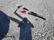 2017 Toyota Tundra SR z VIN 5TFRM5F11HX112088, wystawiony jako Copart lot #87016465 z przebiegiem 99 094 mil mil oraz Szkoda całkowita • Salvage title. Historia ofert i sprzedaży dostępna na DreamBid. Obrazek 12.