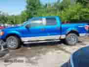 2009 Ford F-150 XL with VIN 1FTRW14819FB47952, listed as a IAAI auction lot 42856483 with 277,088 mi miles and . Bid and sale history available at DreamBid. Image 15.