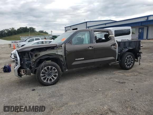 2022 Toyota Tundra Limited with VIN 5TFJA5DB0NX009063, listed as a Copart auction lot 80306415 with 33,440 mi miles and Non repairable. Bid and sale history available at DreamBid. Image 1.