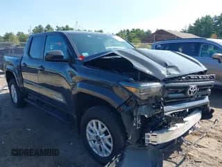 2024 Toyota Tacoma TRD Off Road with VIN 3TMLB5JN2RM081933, listed as a IAAI auction lot 43173729 with 10,704 mi miles and . Bid and sale history available at DreamBid. Image 1.