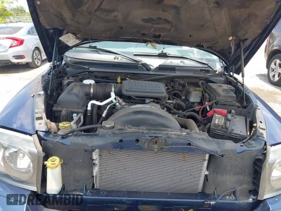 2006 Dodge Dakota SLT with VIN 1D7HE48K96S503482, listed as a IAAI auction lot 42412162 with 127,360 mi miles and . Bid and sale history available at DreamBid. Image 10.
